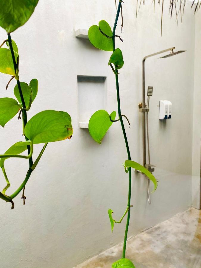 Song Cau Beach Hotel Phu Yen المظهر الخارجي الصورة