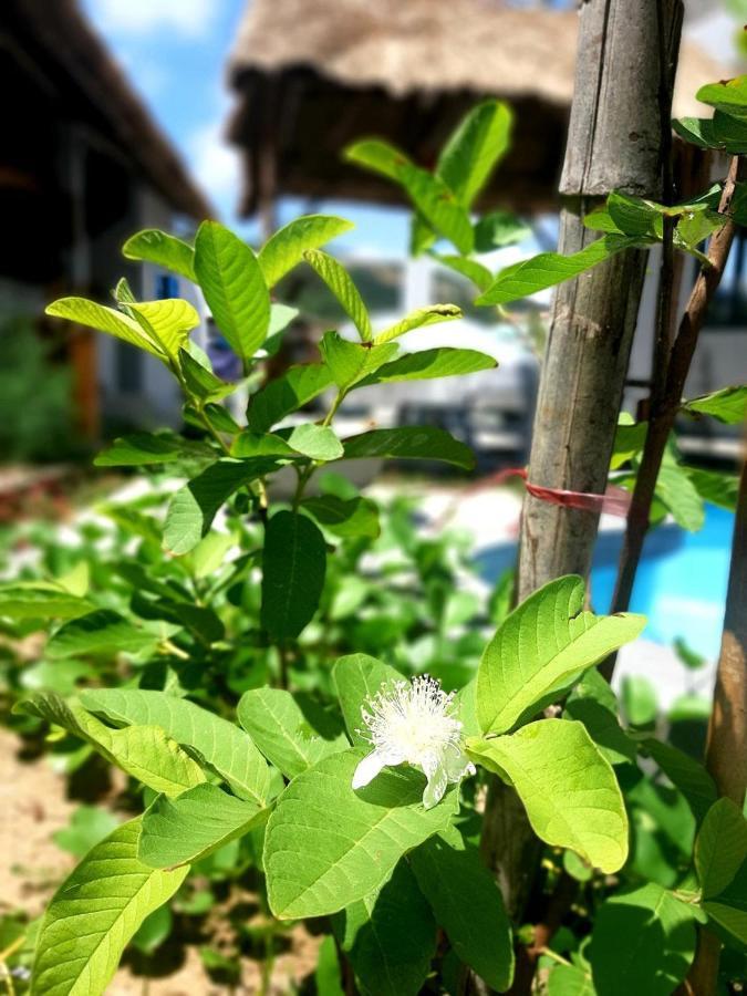 Song Cau Beach Hotel Phu Yen المظهر الخارجي الصورة
